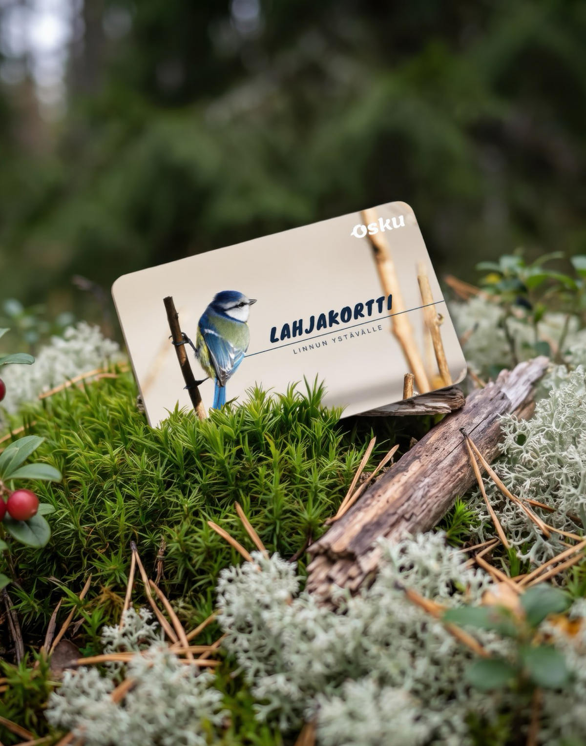 Lahjat & paketit